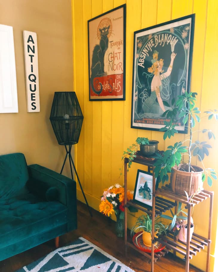 Plant Filled Rental Apartment Photos | Apartment Therapy - You Plant Tree Inemetify Apartments